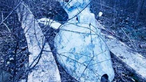 Dystopian Playground - squid.jpg