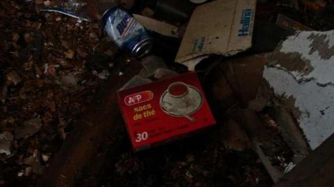 Devon Township House #2 photo 3