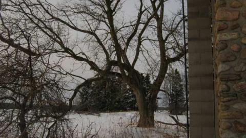 Photo from Stone House