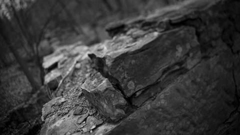 Barber Unfocused - Barber-Dynamo44.jpg