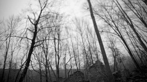 Barber Unfocused - Barber-Dynamo45.jpg