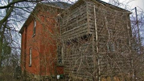 Buried Alive? - IMG_0610.jpg