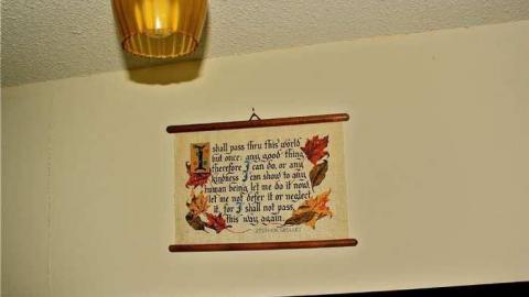 Buried Alive? - IMG_0620.jpg