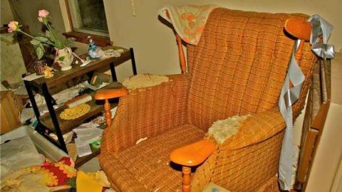 Buried Alive? - IMG_0635.jpg