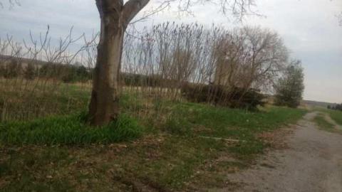 Tin Man - Oz-Never-Did-Give-Nothing....4.jpg