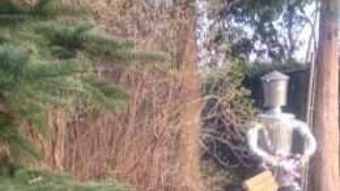 Tin Man - Oz-Never-Did-Give-Nothing....3.jpg