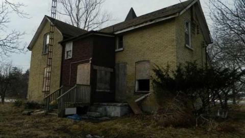 March 2013 - City-Orchards81.jpg