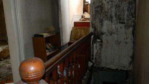 March 2013 - City-Orchards86.jpg