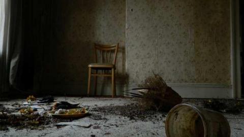 March 2013 - City-Orchards88.jpg