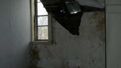 March 2013 - City-Orchards93.jpg