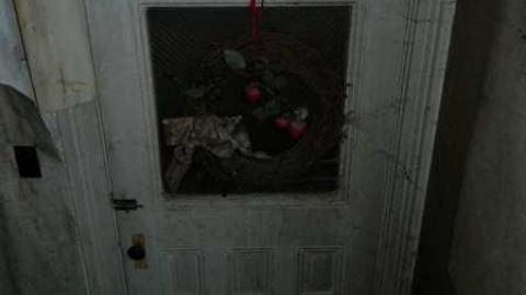 March 2013 - City-Orchards96.jpg