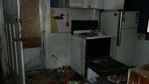 March 2013 - City-Orchards73.jpg