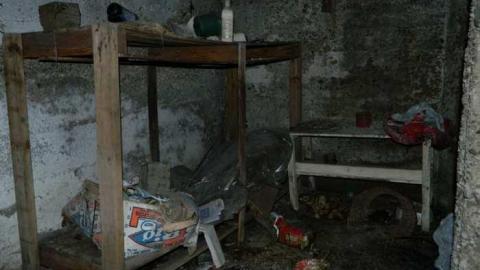 March 2013 - City-Orchards77.jpg