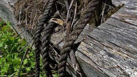 Lonely Logan Rd - P1010948e.jpg