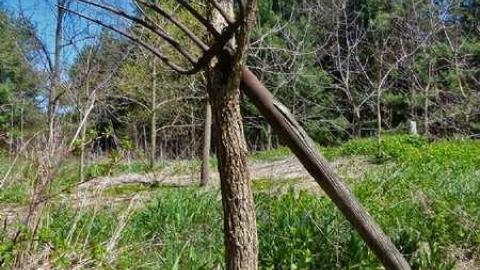 Lonely Logan Rd - P1010943e.jpg