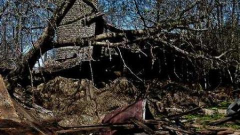 Lonely Logan Rd - P1010941e.jpg