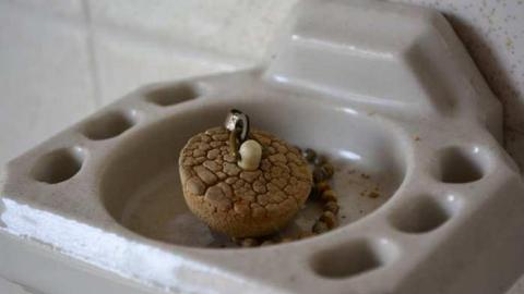 Abandoned at Sunset - London, Ontario