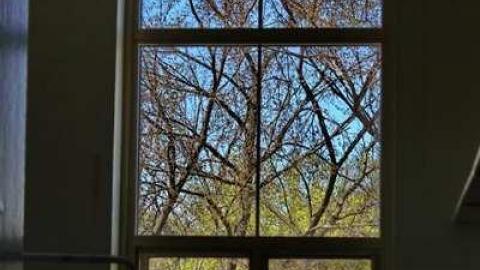 Tytler Public School 1878-2013 photo 2