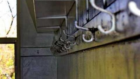 No More Books - Tytler-Public-School-1878201321.jpg