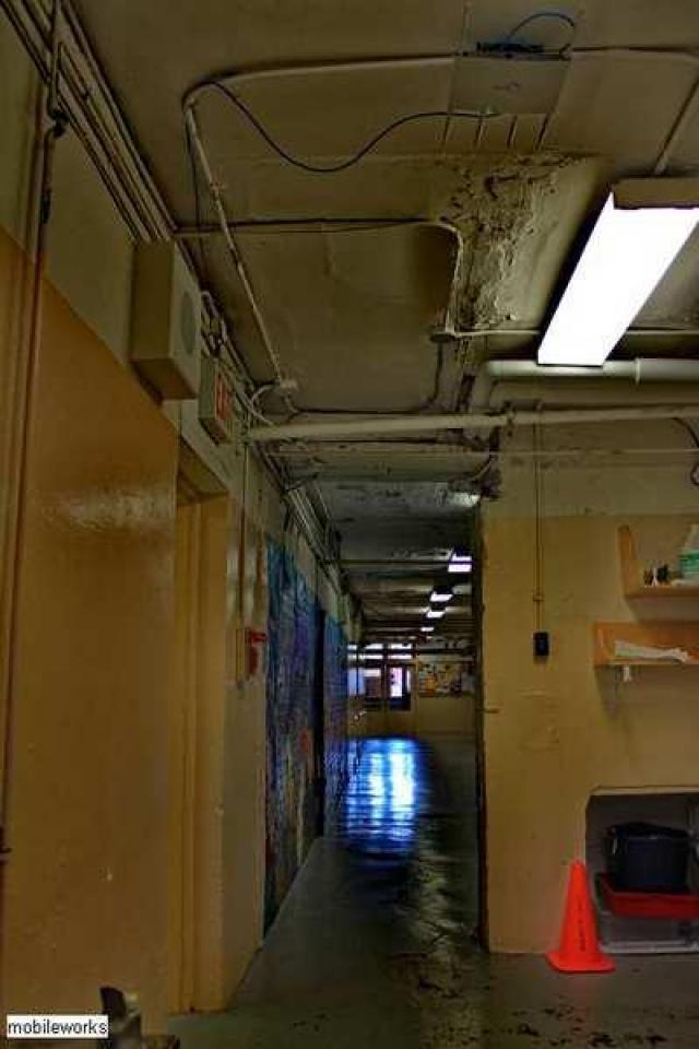 Tytler Public School 1878-2013 photo 5