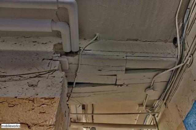 Tytler Public School 1878-2013 photo 4