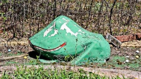 The Jaguar - IMG_6662.jpg