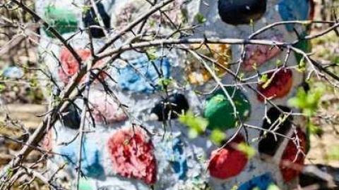 The Jaguar - IMG_6663.jpg