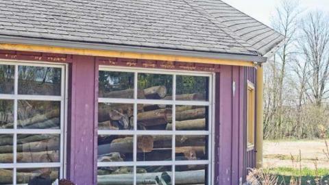 The Jaguar - IMG_6665.jpg