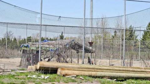 The Jaguar - IMG_6667.jpg