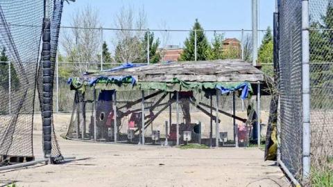 The Jaguar - IMG_6669.jpg