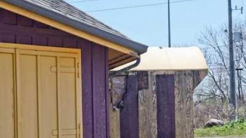 The Jaguar - IMG_6670.jpg