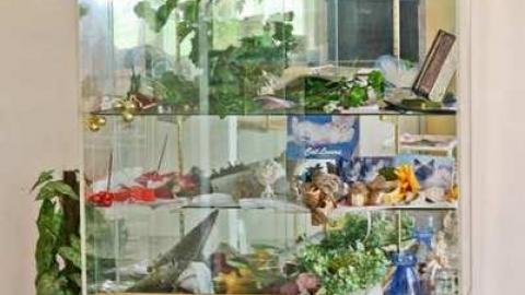 A Mystery - Abandoned-Cat-Lady-House248.jpg