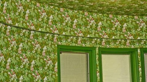 A Mystery - Abandoned-Cat-Lady-House249.jpg