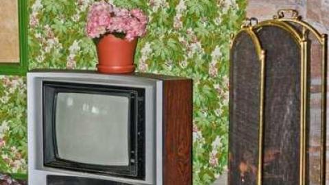 A Mystery - Abandoned-Cat-Lady-House255.jpg