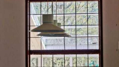 A Mystery - Abandoned-Cat-Lady-House258.jpg