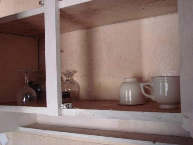 Courtice Hideout photo 2