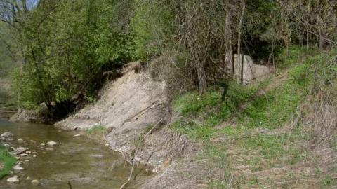 I Found the Mills - Patly-Mill-of-Whitby1.jpg