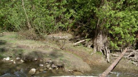 I Found the Mills - Patly-Mill-of-Whitby9.jpg