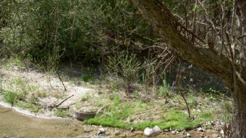 I Found the Mills - Patly-Mill-of-Whitby10.jpg