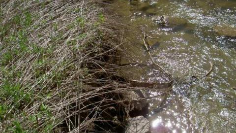 I Found the Mills - Patly-Mill-of-Whitby14.jpg