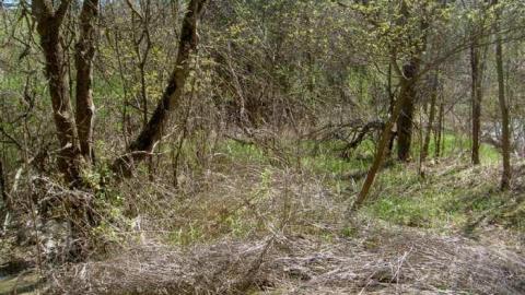 Photo from I Found the Mills