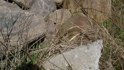 I Found the Mills - Patly-Mill-of-Whitby15.jpg