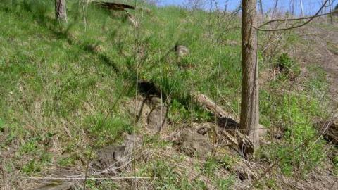 I Found the Mills - Patly-Mill-of-Whitby6.jpg