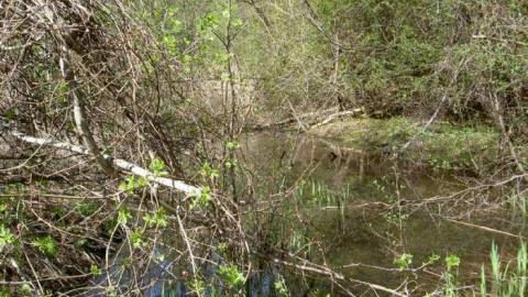 I Found the Mills - Patly-Mill-of-Whitby16.jpg