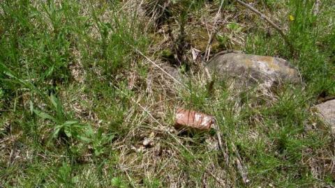 I Found the Mills - Patly-Mill-of-Whitby8.jpg