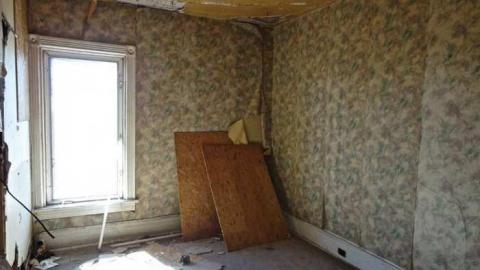 Annette Groves For Mayor photo 2