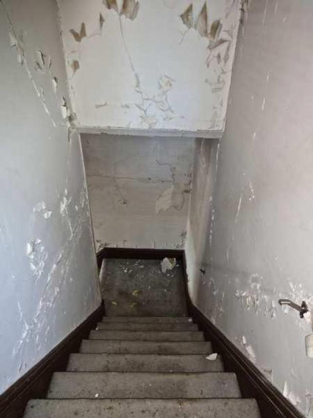 Annette Groves For Mayor photo 5