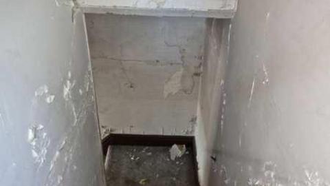 Annette Groves For Mayor photo 5