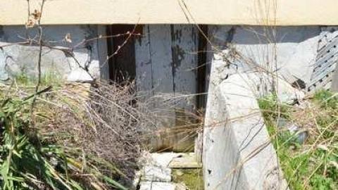 Delta Int. Equipment Sales Inc - DSC_8119.jpg