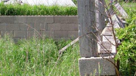 Photo from Holy Half Church